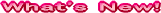 �j���[�X