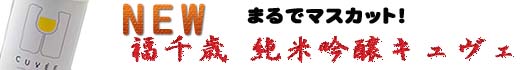 ΃LF2025