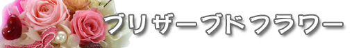 ��̓��̑��蕨