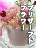 �u���U�[�u�h�t�����[